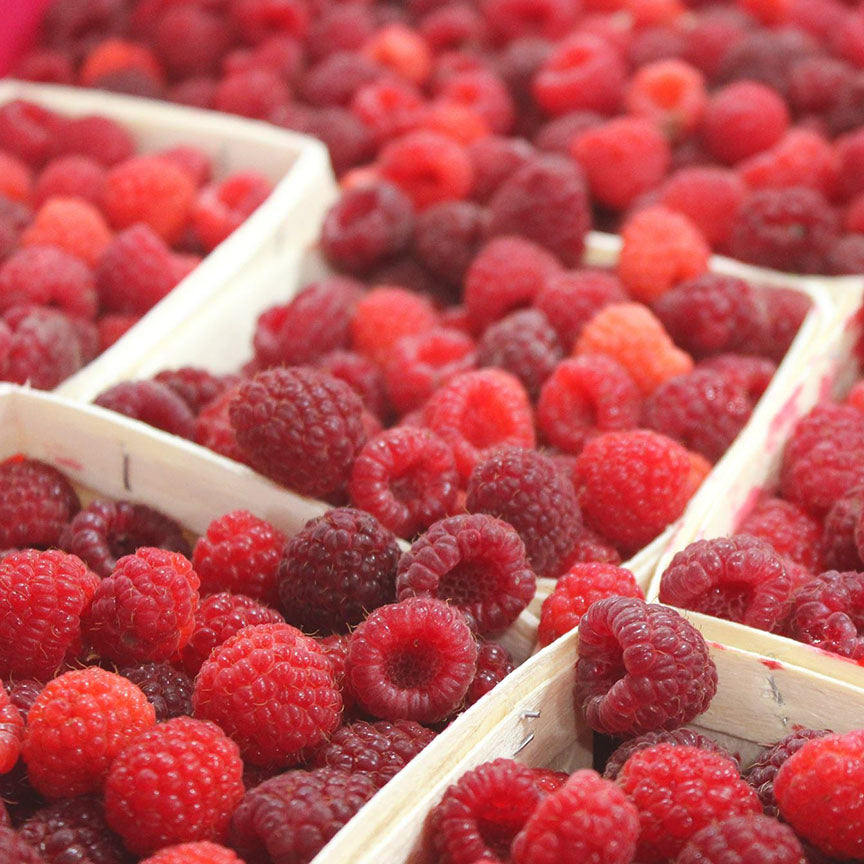 Raspberry with Wild Bergamot